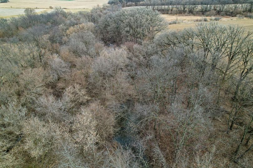 3605 Big Hill Rd.-30