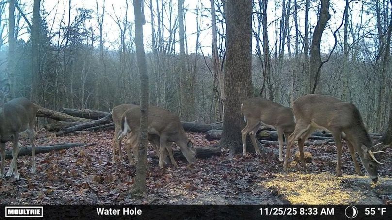 Temp_2337651-20251125133348-100MFCAM_MFDC5840