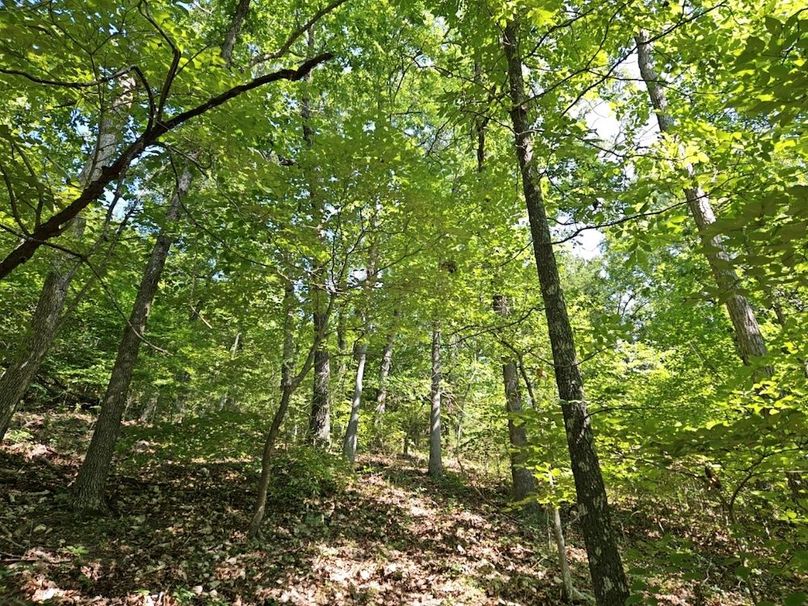 DJI_20240808_103938_146