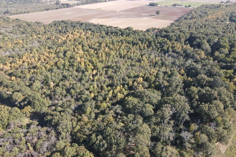 dji_fly_20241017_160918_341_1729199372481_photo 2