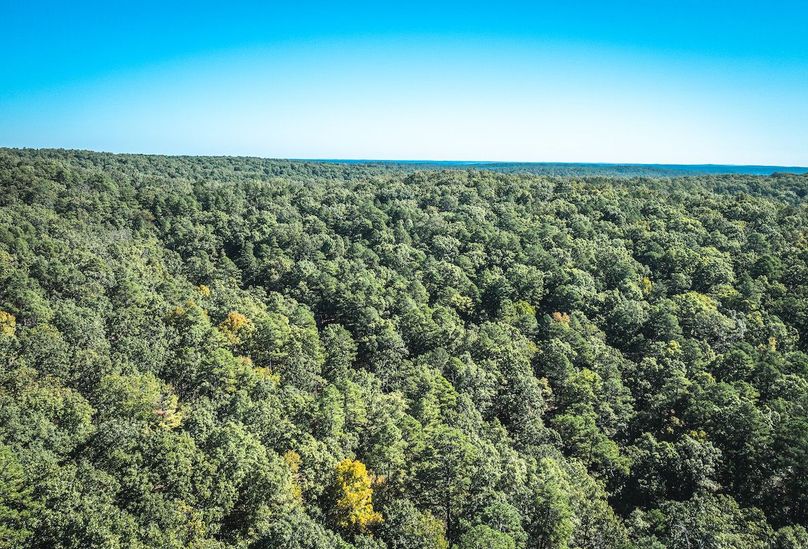 DJI_20251009045835_0598_D