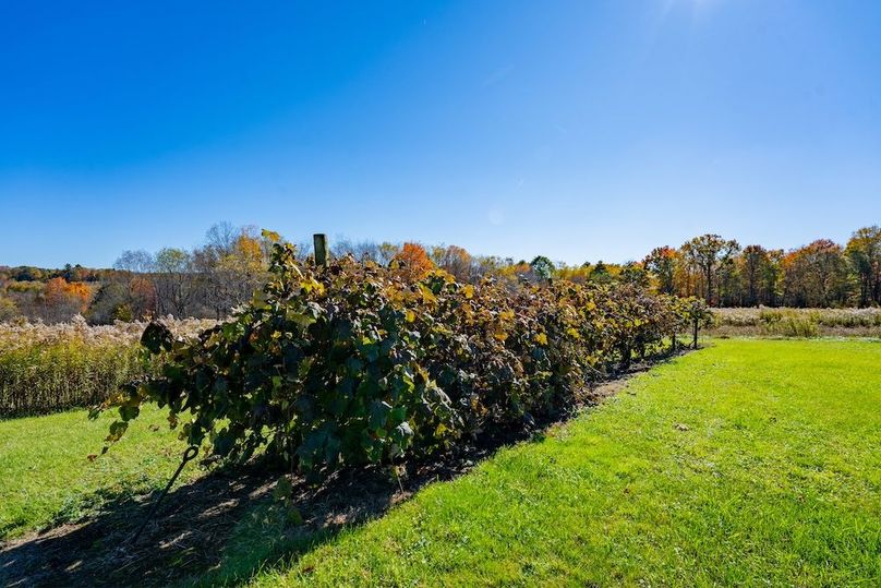 44868WarnerGROUND-19