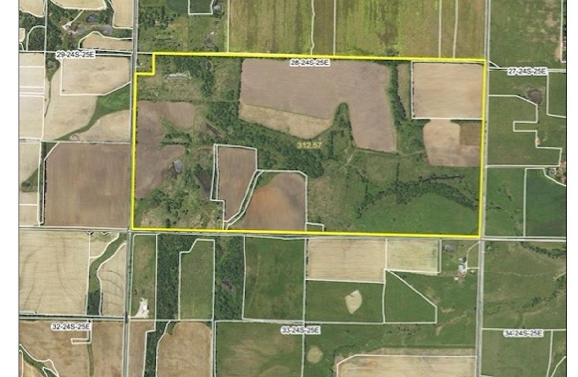 Bourbon 313 Zoomed copy