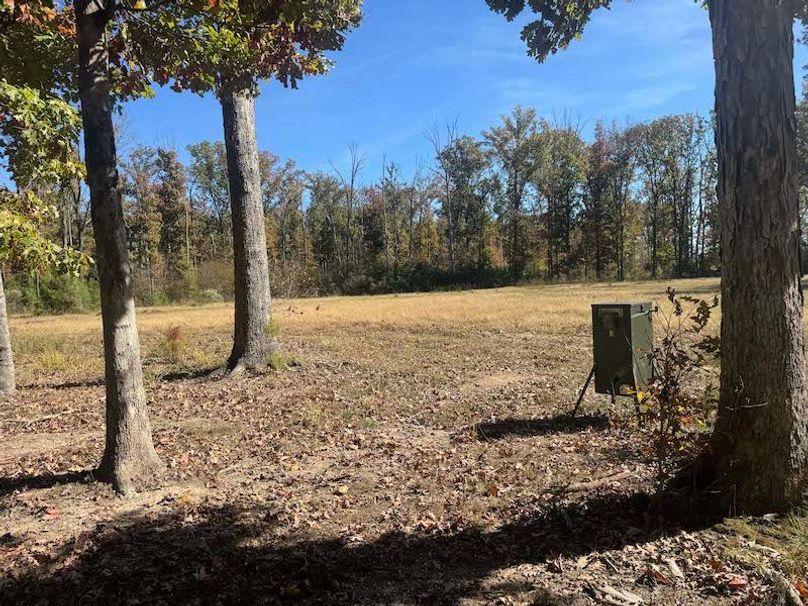 jeff 5020251111_0320