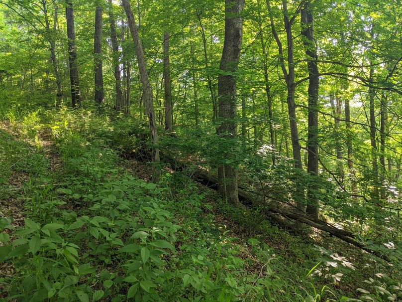 PXL_20230602_132713781