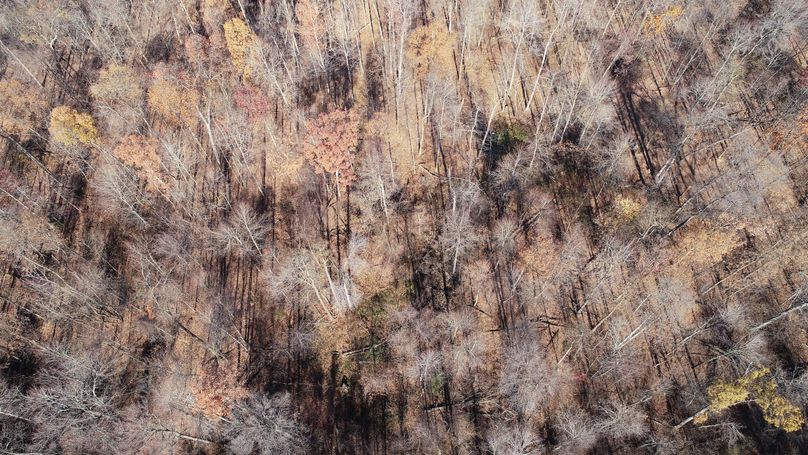 DJI_0028