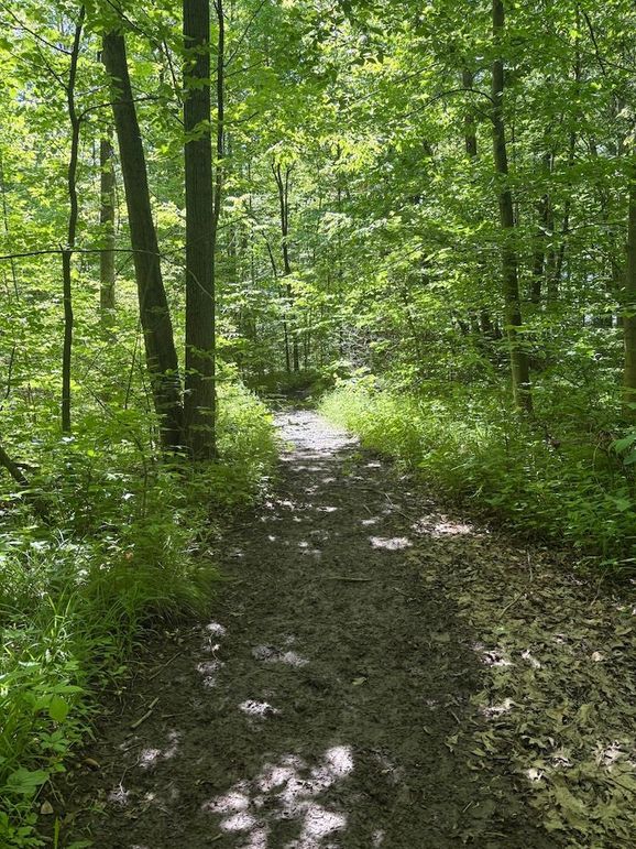 trail 2