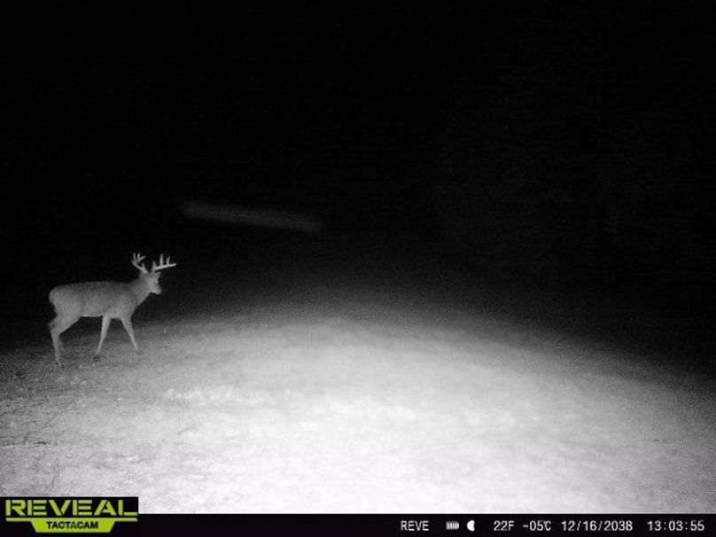 865814043205432-40-3-12162038130354-W1018567