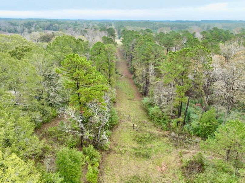 D0B5DB61-647D-4853-AE2A-66CB62702CFD_1_201_a-2