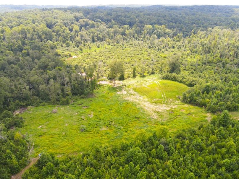 dji_fly_20250729_122008_758_1753806037576_photo