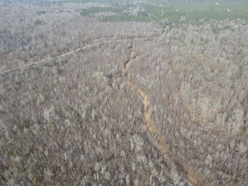 dji_fly_20260109_133202_801_1767987352483_photo