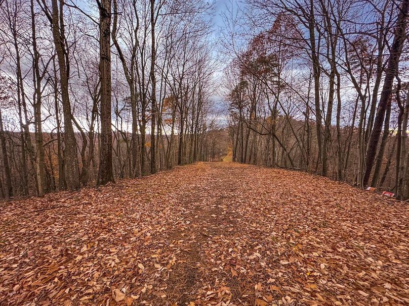 Ritchie, WV 14.081 AC Currey-42