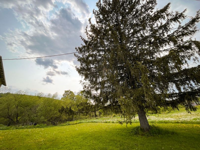 Tompkins_10.85-Gregrow_Photos_22