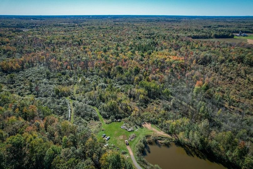 Wood 41.451, Collins -33