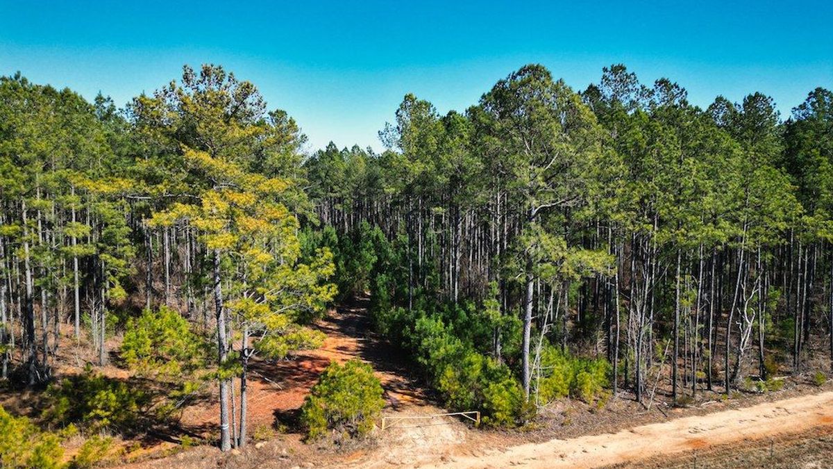 Ultimate Recreational Retreat With Creek, Trails, And WellManaged Timber Whitetail Properties