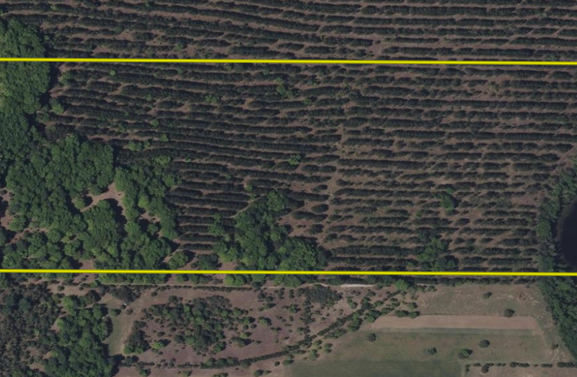 Screen Shot 2025-05-01 at 2.16.47 PM