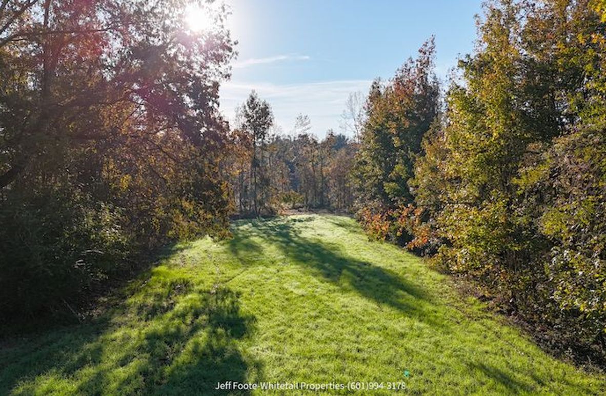 Claiborne Co-151-Geronimo-03