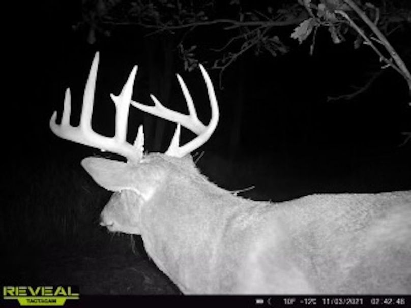 4f9efe1c-26c9-4e99-984c-fdb0801b850e