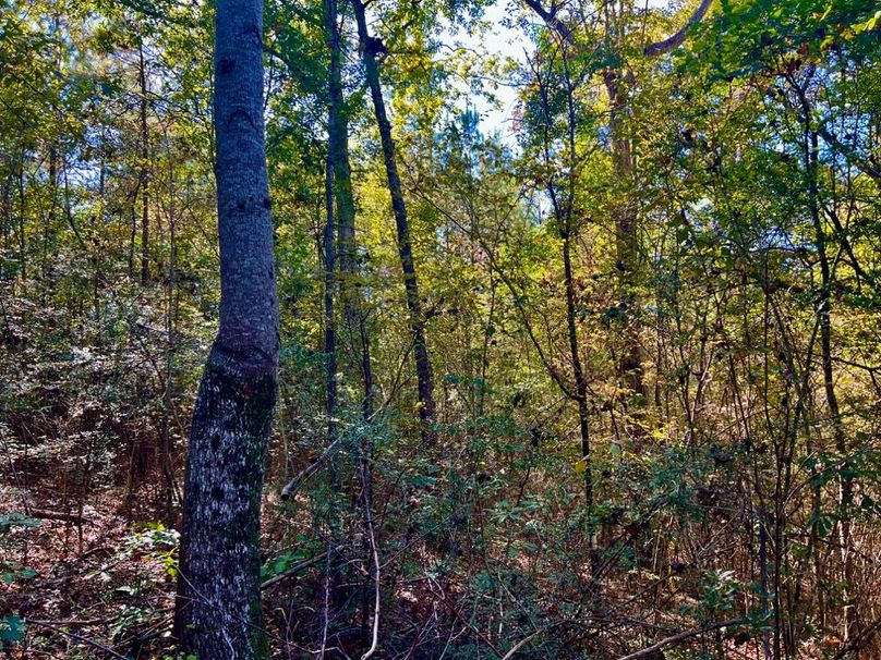 80F4D407-43F4-4E83-8D19-AC055CDFC14E_1_201_a