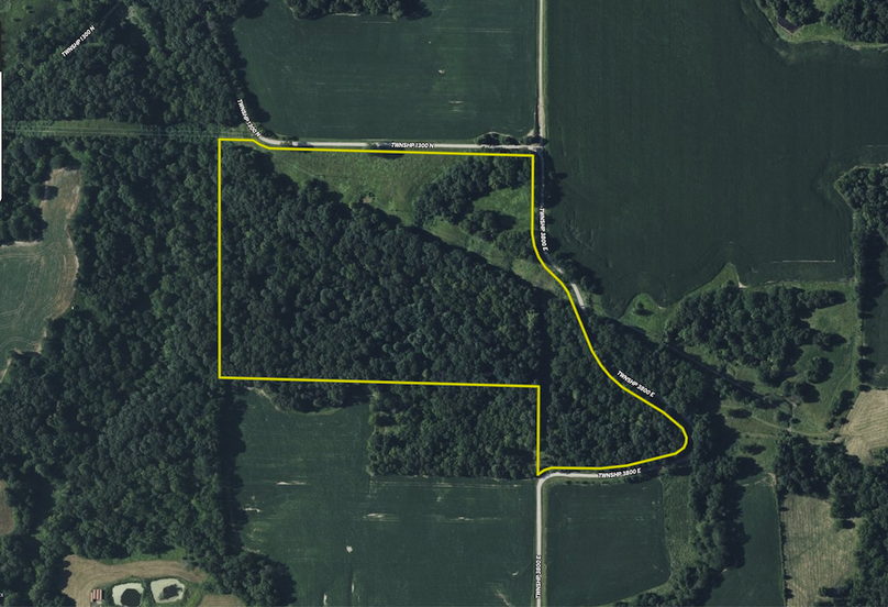 Pike IL 568.AERIAL.TRACT 3