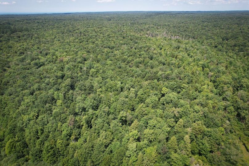 Oswego_100_Roof_Photos_47