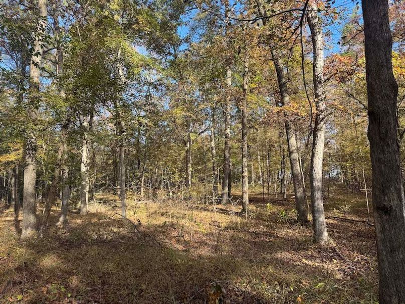 Jeff 11720251111_0204