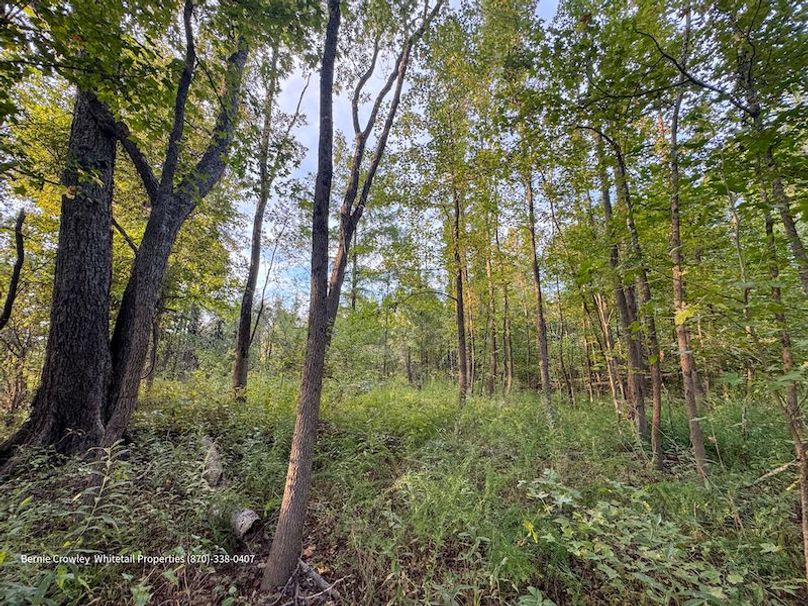 DeSoto 329 Prewett (Thompson) -25