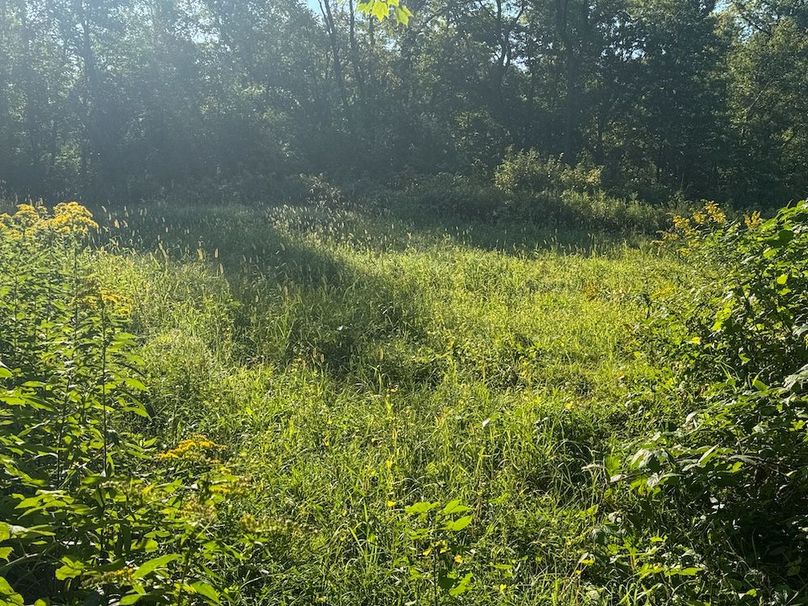 Pantzke Ground Photos-25