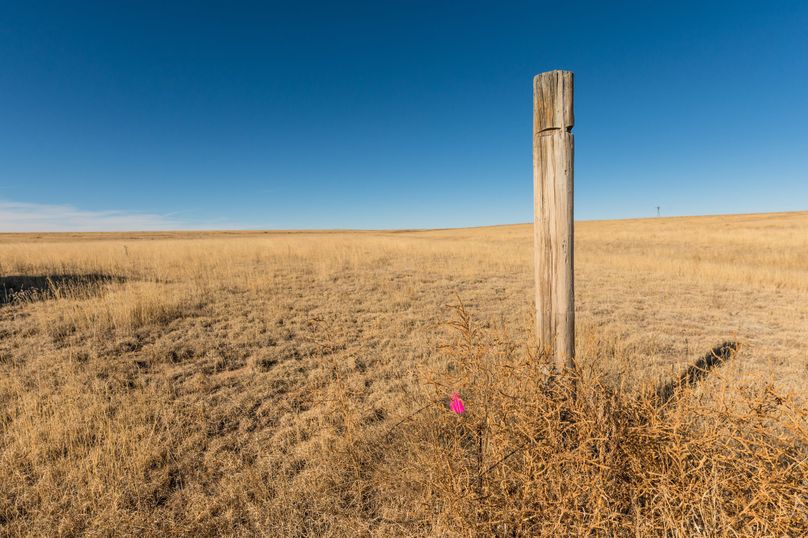 El Paso Co 40 Malinowski - LOT 3 - 019