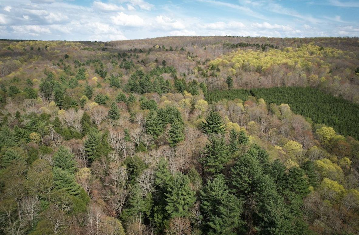 Tioga_76.65_Matyjas_Photos_1