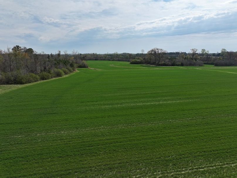 DJI_20260303064348_0575_D