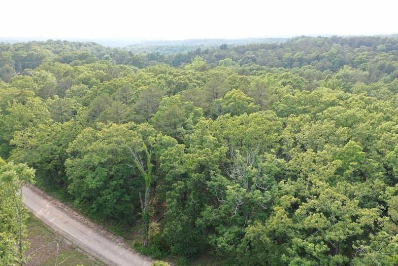 DJI_0968