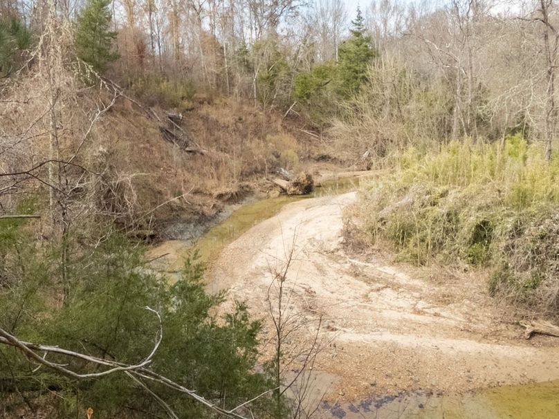 Yazoo Co - 75 - Batton-18