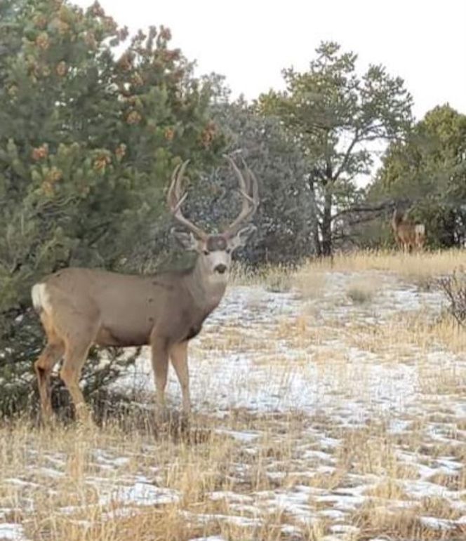 received_690091519514108