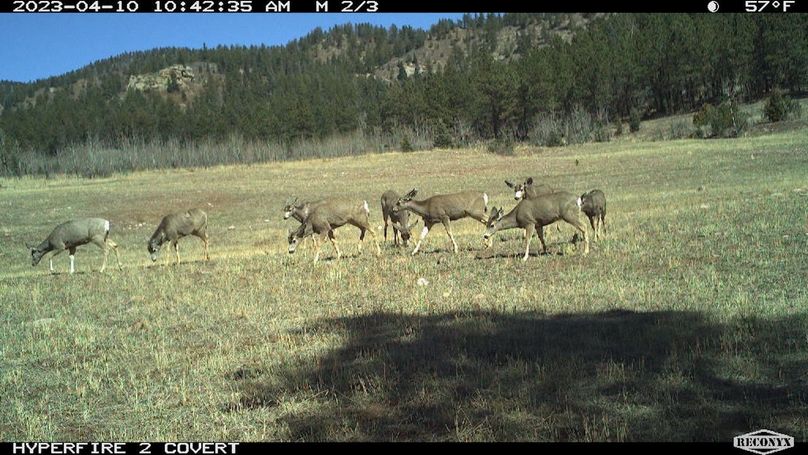 MBL_0232_286130782459075