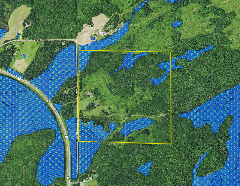 4978 Old Highway 53 wetlands layer