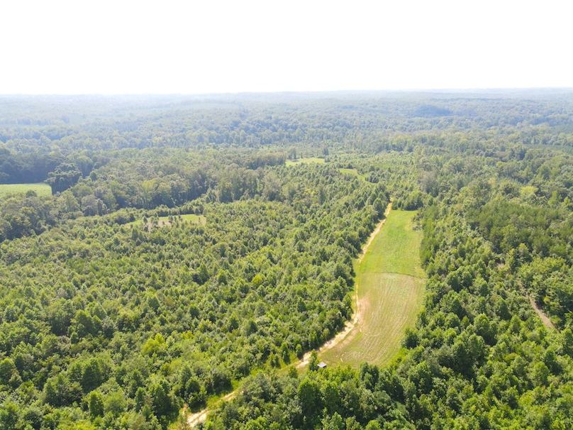 dji_fly_20250729_105356_804_1753800935053_photo