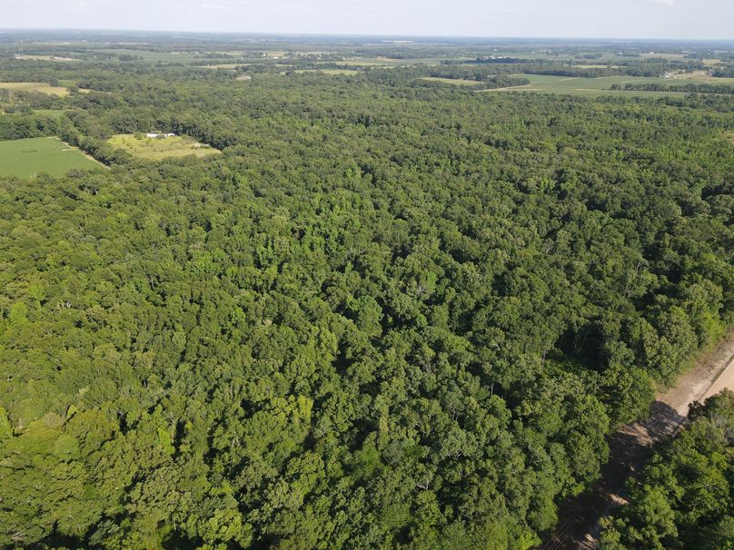 ADA146F8-CCE6-4399-BC2B-52F04A7E9613_1_102_o