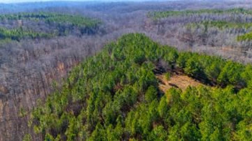 MCKINNON TRACT 29-13