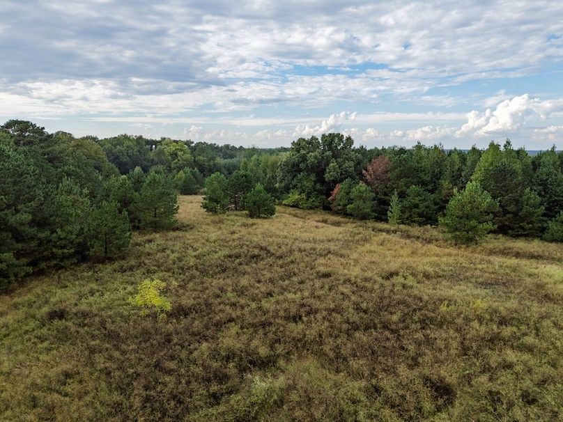 25 Edited Harison co. 206 - Ed Robb-077