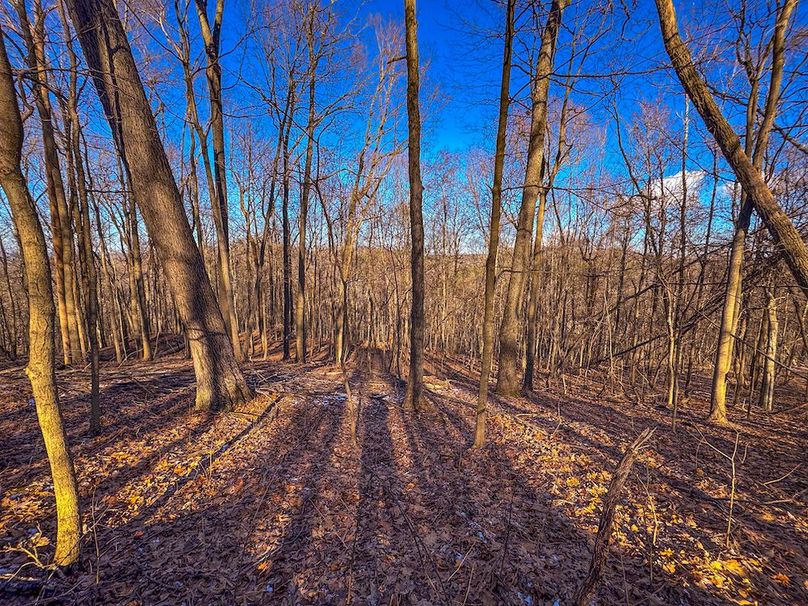 Pleasants, WV 81 AC Barron-32