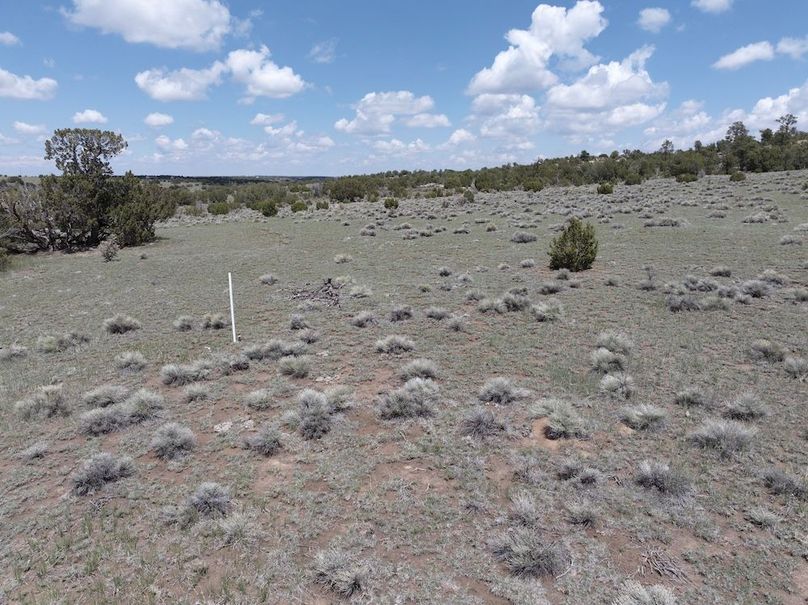 DJI_20250508124155_0058_D
