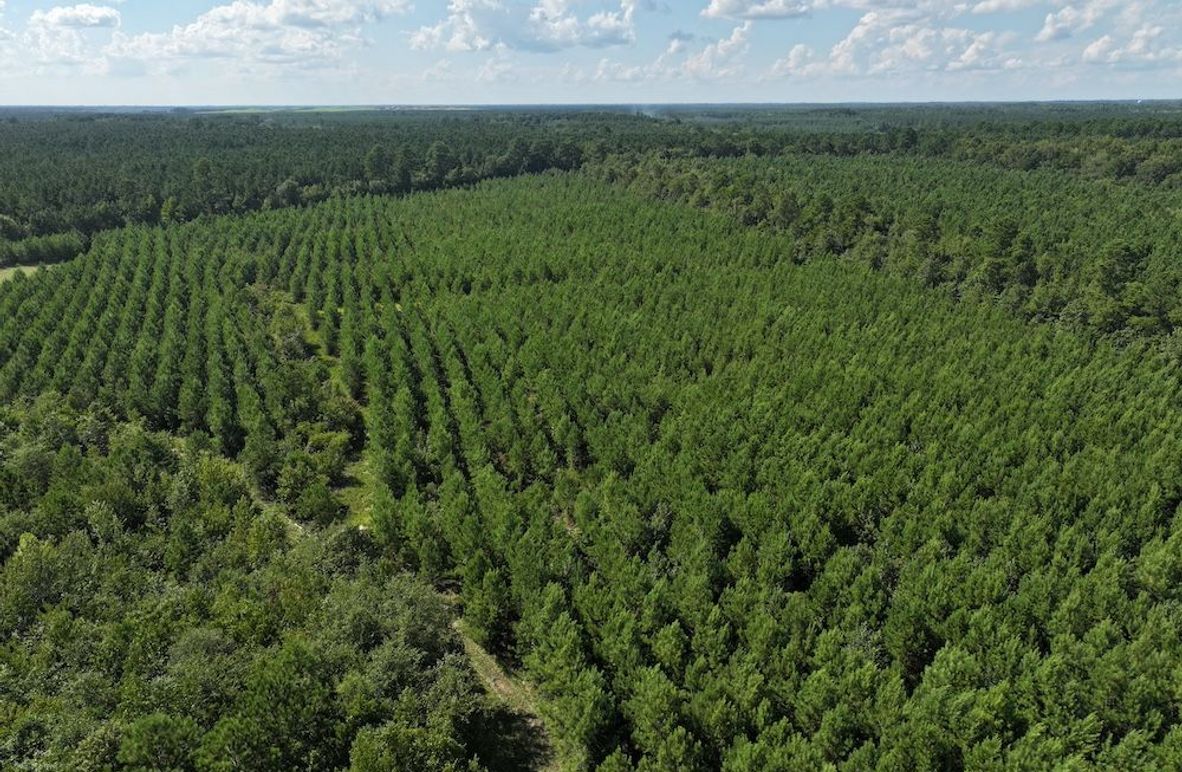 DJI_20240820163435_0001_D