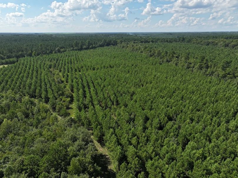 DJI_20240820163435_0001_D