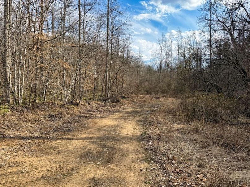 015 trail leading from the flats down towards the creek-2