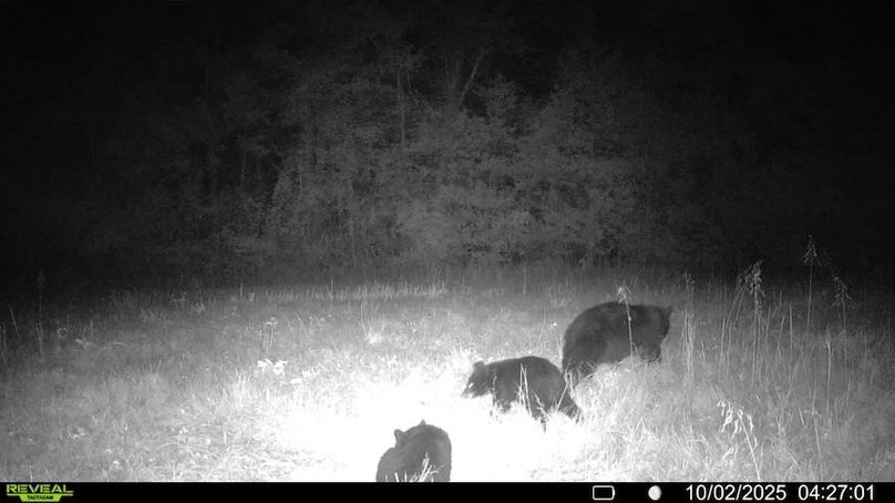 016579001931943-0-2-10022025042701-SYFW02474