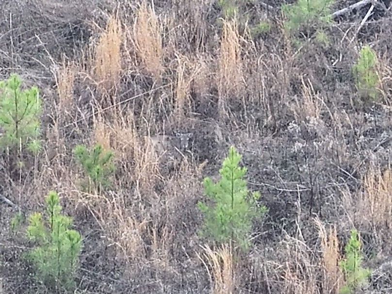 DJI_20260303144925_0017_V