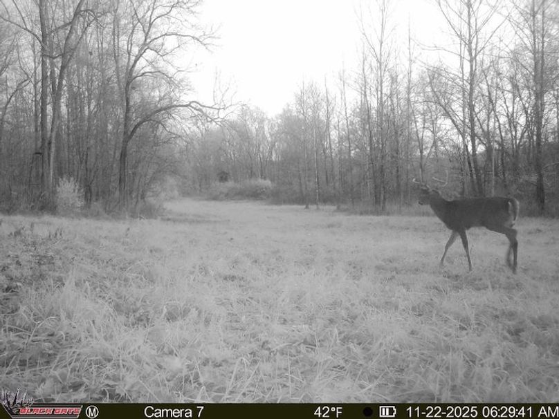 055EE83A-1139-44A6-A9ED-75AF420946A4