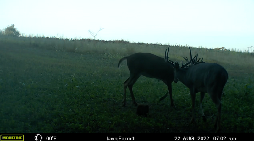 Screen Shot 2024-02-05 at 3.24.53 PM