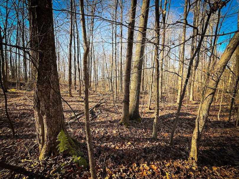 Chemung_31.75_Seymour_North_Photos_28